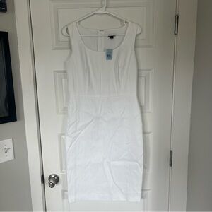 NWT Ann Taylor Petite Dress